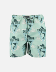 Swimshorts all over print