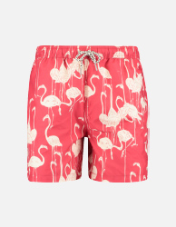 Swimshort all over print